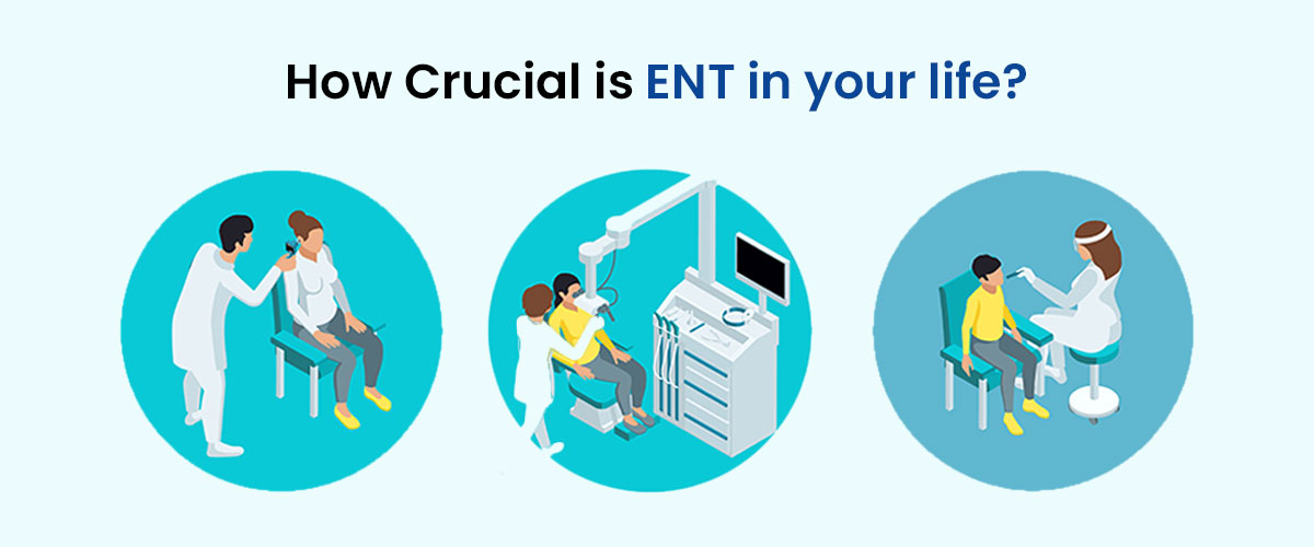 How Crucial is ENT in your life