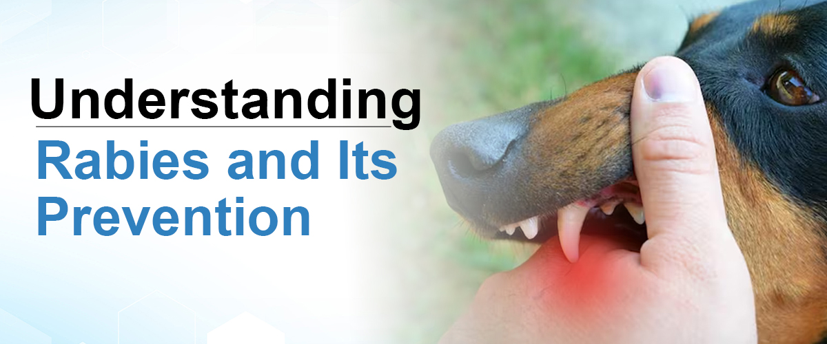 rabies in a dog symptoms