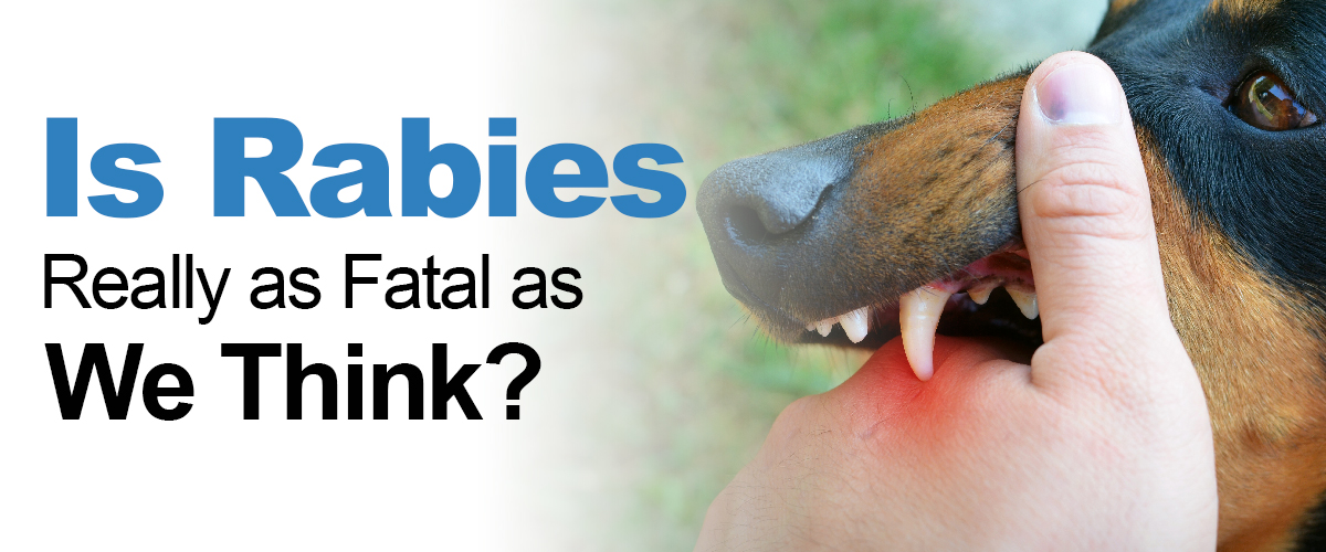 Is Rabies Really As Fatal As We Think