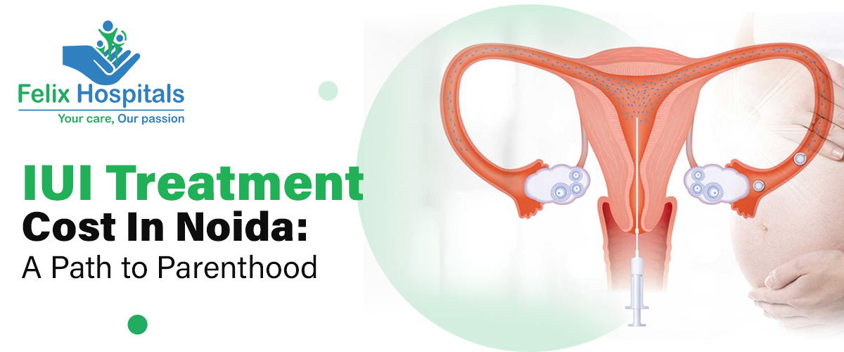 IUI Cost in Noida