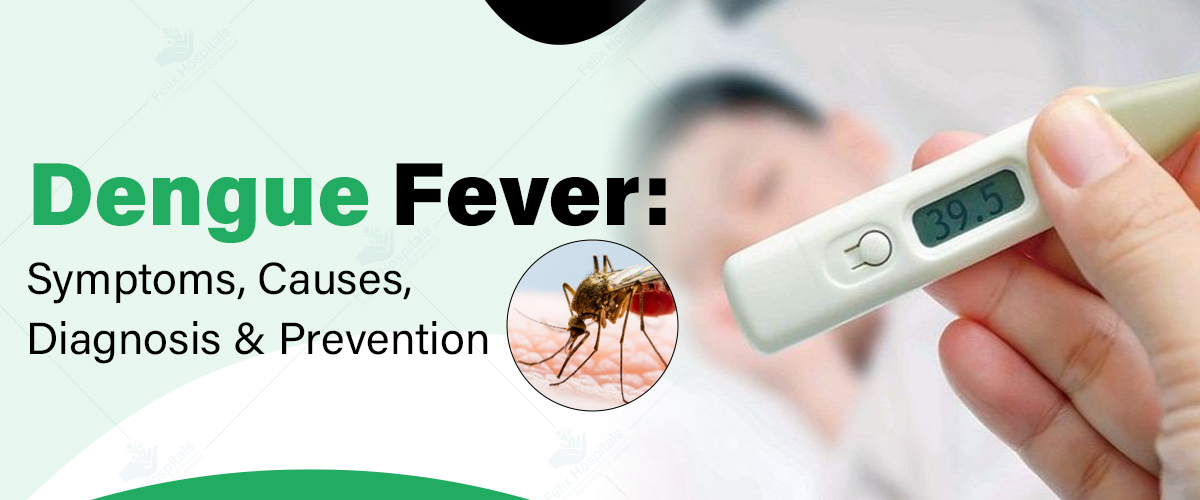 prevention of dengue