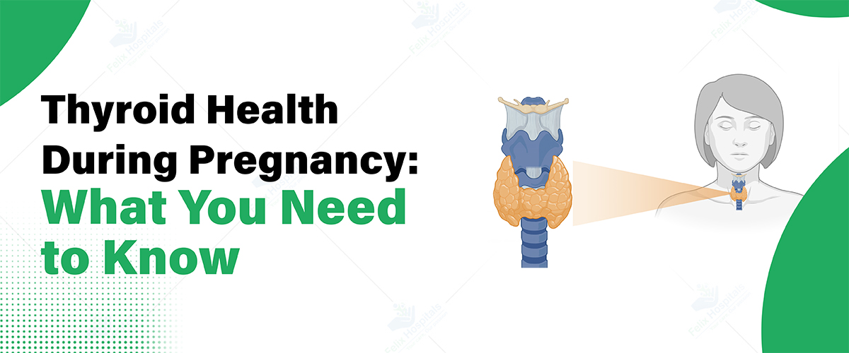 Thyroid Health During Pregnancy