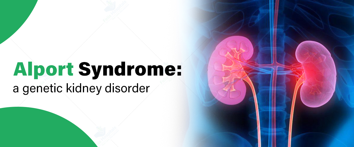 Alport Syndrome: A Genetic Kidney Disorder