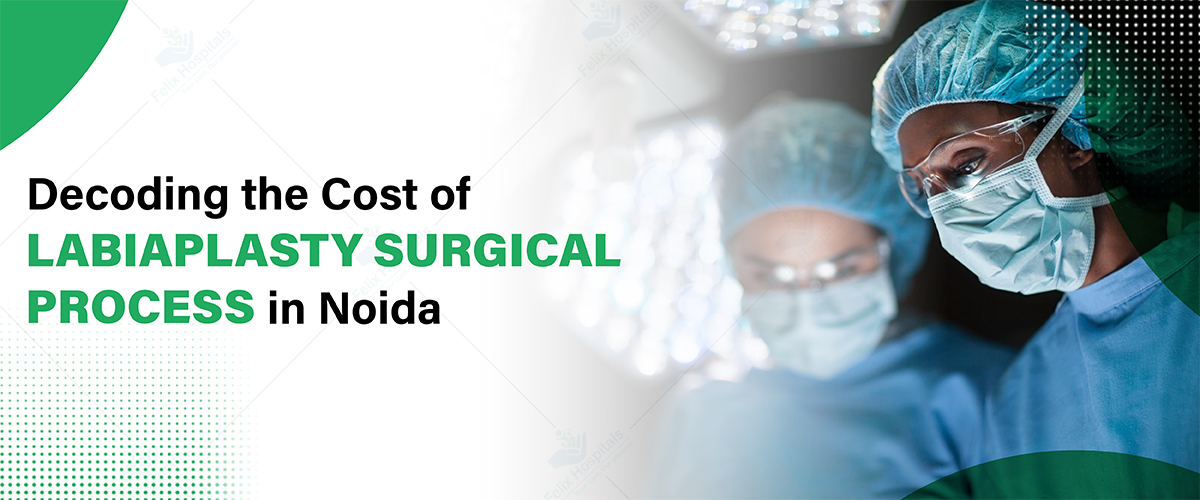 Labiaplasty Surgical Process in Noida